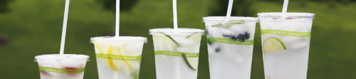 Fruit in Cold Compostable Cups & Straws